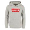 Levi´s Batwing Screenprint Hoodie unisex gråmelert.