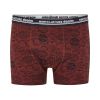Boxer 3pk Mix print 