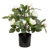 Rose i potte 40cm hvit Original