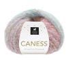Caness 2501 Fruity Honey
