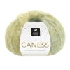 Caness 2504 Caribien Kiwi