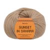 Sunset in Sahara 306 Pampas
