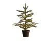 Hilly juletre i potte 55cm grønn.