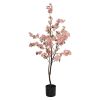 Plante Peach Blossom fersken