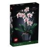Orchid 