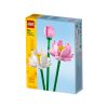 Lotus Flowers 