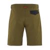 Swell trekking Shorts Oliven
