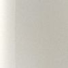 Wonder Nail Polish 5ml 100 Pearly