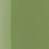 Wonder Nail Polish 5ml 142 Lime