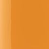 Wonder Nail Polish 5ml 216 Sea Buckthorn