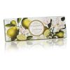 Fiorentino Lavender & Cedar 3 x 100 g Gaveeske Bergamotto & Gardenia