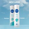 Deo Dry Fresh Spray Original