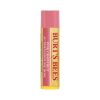 Pink Grapefruit Blister Packs grapefruit