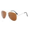 Solbrille Mann Aviator Metal gold/brun