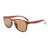 Solbrille Mann Warefarer 2 brun/brun