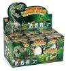 Dinosauregg voksende hvit