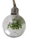 Lyslenke med pærer med blomsterdekor og timer Grønn-hvit