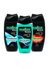 Palmolive Dusj Men Mixkasse assortert